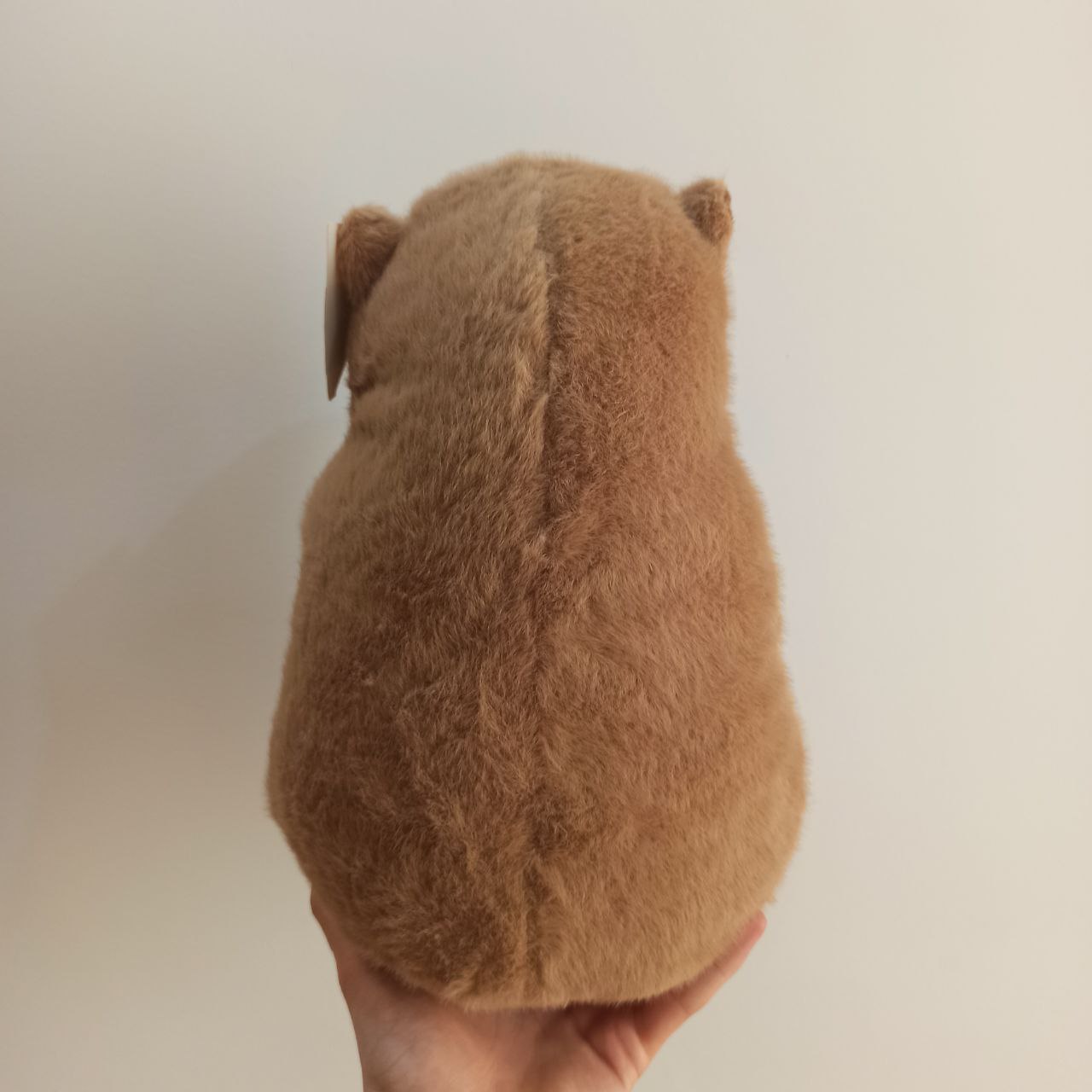 عروسک کپی بارا