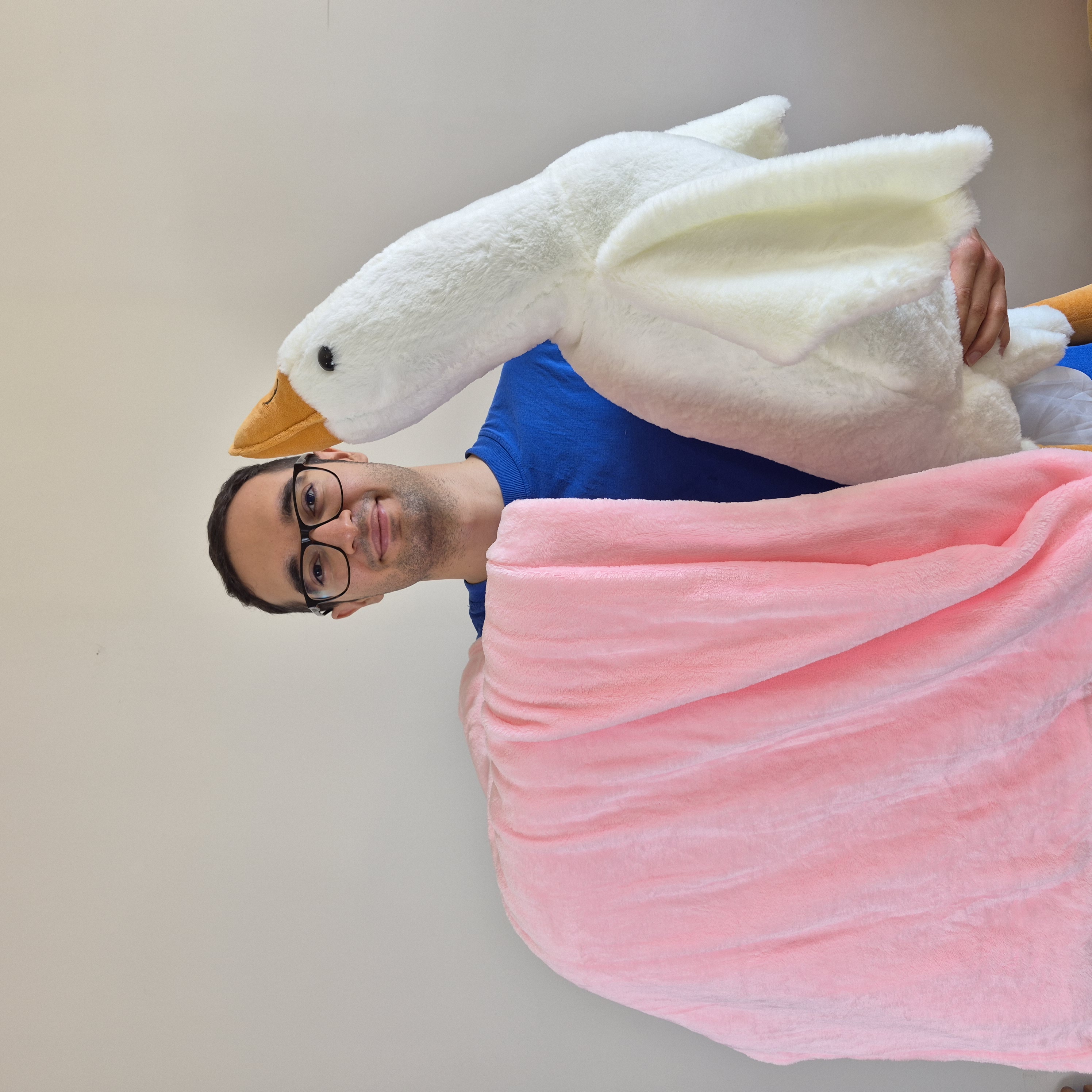 عروسک غاز پتو دار