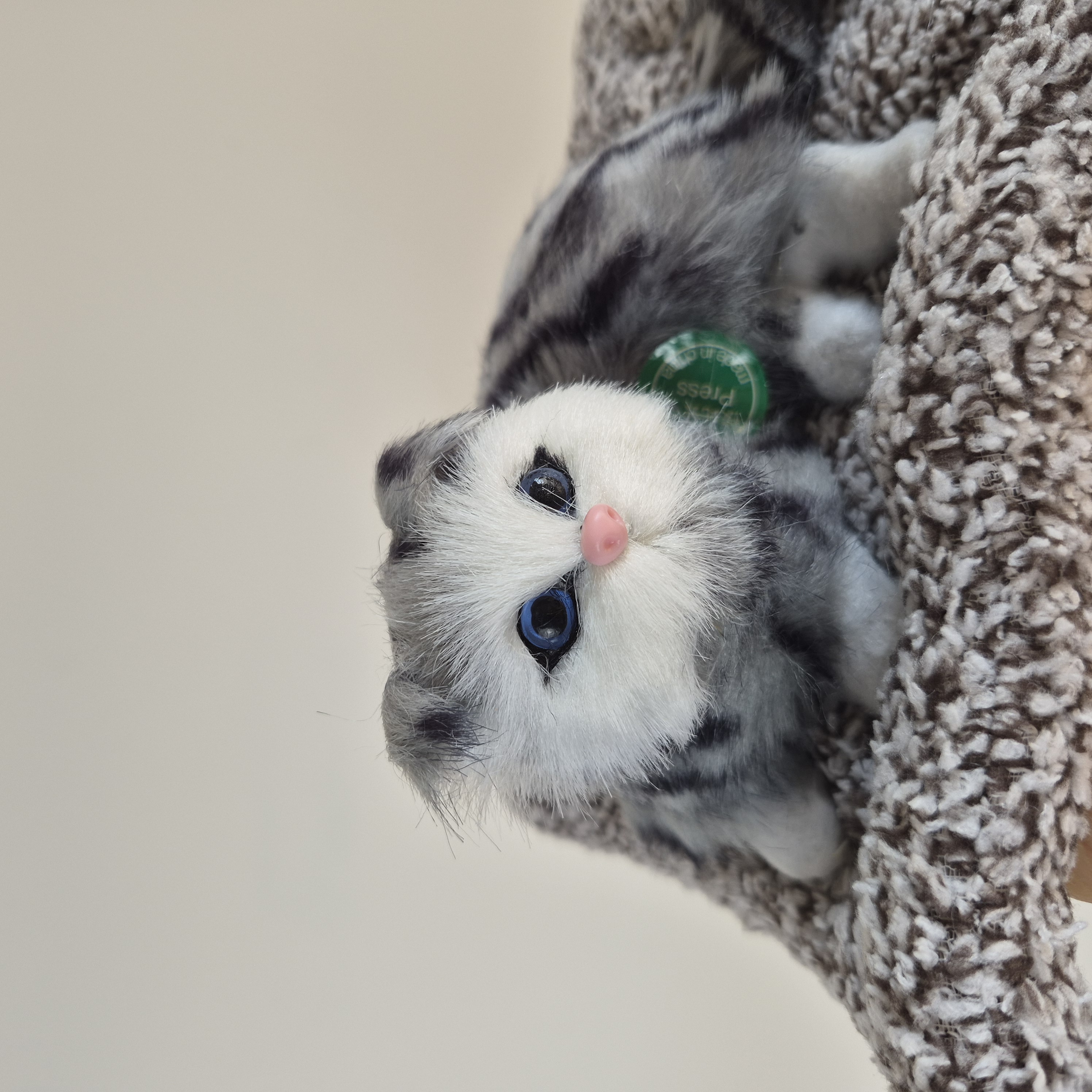 عروسک گربه موزیکال